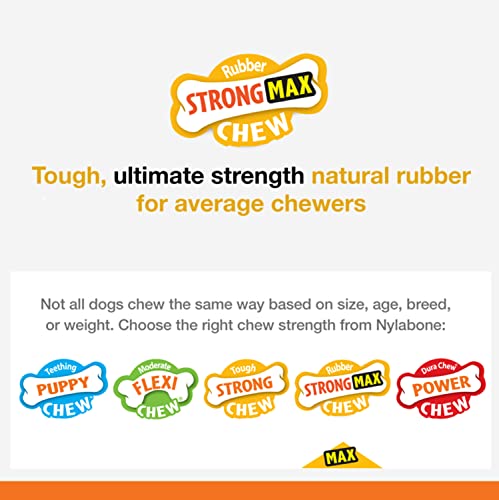 Nylabone Strong MAX Chew Cone Stuffable Chew Toy for Dogs MAX Cone Beef Medium/Wolf (1 Count)