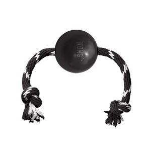 kong – extreme ball w/rope – durable rubber dog bone for power chewers, black – for large dogs
