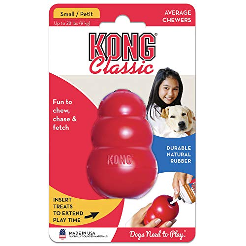 KONG - Classic and Ziggies - Dog Chew Toy with Dog Treats - for Small Dogs