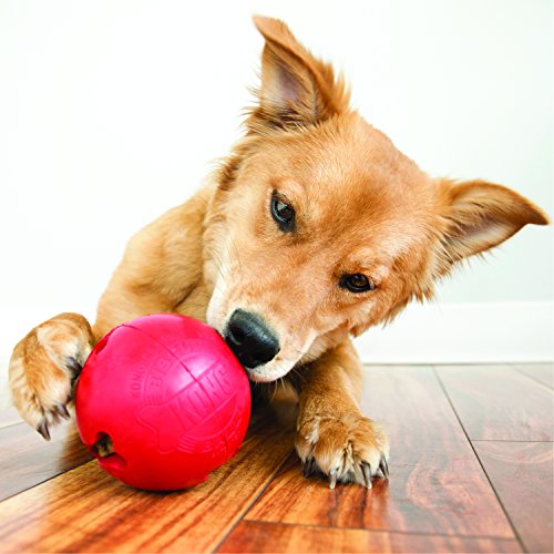 KONG - Biscuit Ball - Durable Rubber, Treat Dispensing Toy - for Small Dogs