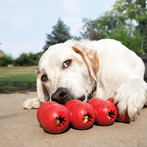 KONG - Ring and Goodie Ribbon - Durable Rubber Dog Chew Toy and Treat Dispensing Toy - for Medium Dogs