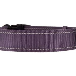 KONG Max Ultra Durable Dog Collar (Large, Purple)