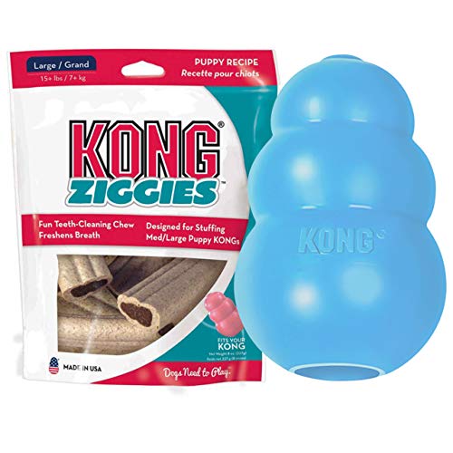 KONG - Puppy and Ziggies - Puppy Toys for Teething with Treats (Colors May Vary) - for Large Puppies