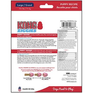 KONG - Puppy and Ziggies - Puppy Toys for Teething with Treats (Colors May Vary) - for Large Puppies