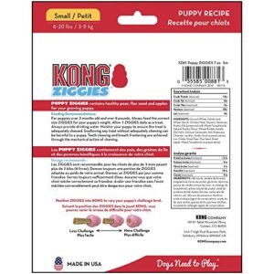 KONG - Ziggies Puppy Small, Pack of 2