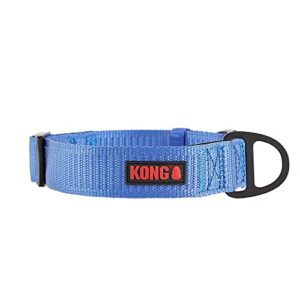 kong max hd ultra durable neoprene padded dog collar (large, blue)