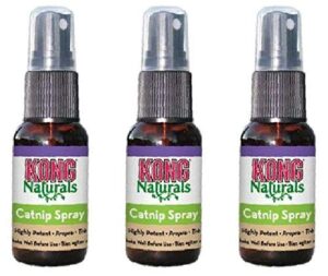 kong natural catnip spray size:pack of 3