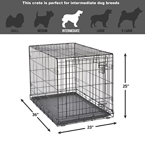 MidWest Homes for Pets Newly Enhanced Single & Double Door New World Dog Crate, Includes Leak-Proof Pan, Floor Protecting Feet, & New Patented Features