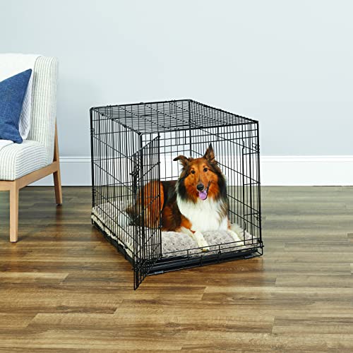 MidWest Homes for Pets Newly Enhanced Single & Double Door New World Dog Crate, Includes Leak-Proof Pan, Floor Protecting Feet, & New Patented Features