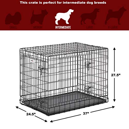 MidWest Ultima Pro Series 36" Dog Crate | Extra-Strong Double Door Folding Metal Dog Crate w/Divider Panel, Floor Protecting "Roller Feet" & Leak-Proof Plastic Pan