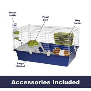 MidWest Homes for Pets Critterville Cleo Guinea Pig Cage | Includes All Accessories, Blue, Large (171CL)