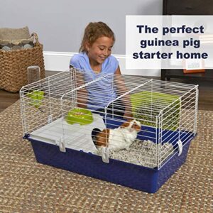 MidWest Homes for Pets Critterville Cleo Guinea Pig Cage | Includes All Accessories, Blue, Large (171CL)