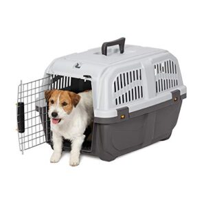 midwest homes for pets skudo plastic carrier, 24-inch ideal for small dogs with an adult weight of 13 – 25 pounds