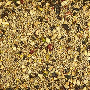 Kaytee Wild Bird Waste Free Nut and Fruit Food Seed Blend For Woodpeckers, Juncos, Cardinals, Grosbeaks, Finches, and Chickadees, 5.5 Pound