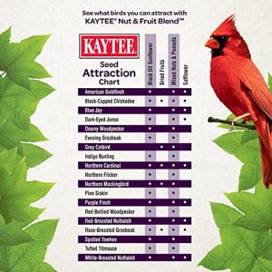 Kaytee Nut and Fruit Blend, 20-Pound