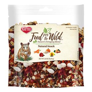 Kaytee Food from The Wild Natural Snack for Pet Hamsters, Gerbils, Rats and Mice, 2 Ounces