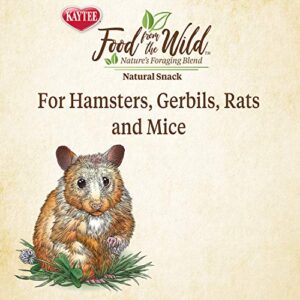 Kaytee Food from The Wild Natural Snack for Pet Hamsters, Gerbils, Rats and Mice, 2 Ounces