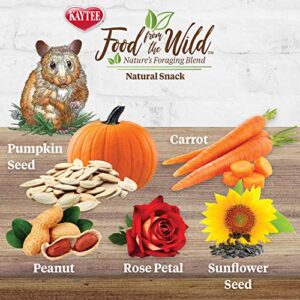 Kaytee Food from The Wild Natural Snack for Pet Hamsters, Gerbils, Rats and Mice, 2 Ounces