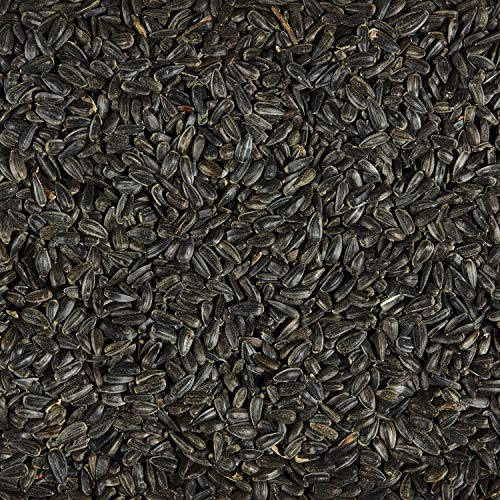 Kaytee Wild Bird Black Oil Sunflower Food, 5 Pounds