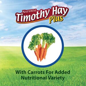 Kaytee Timothy Hay Plus Carrots for Pet Guinea Pigs, Rabbits & Other Small Animals, 24 oz