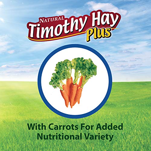 Kaytee Timothy Hay Plus Carrots for Pet Guinea Pigs, Rabbits & Other Small Animals, 24 oz