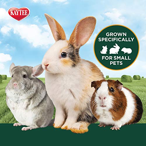 Kaytee Timothy Hay Plus Carrots for Pet Guinea Pigs, Rabbits & Other Small Animals, 24 oz