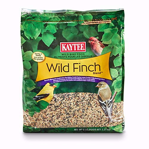 Kaytee Wild Finch Bird Food Stand Up Bag, 5 Pounds