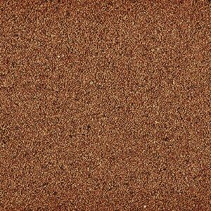 Kaytee Walnut Bedding and Litter 5.2L