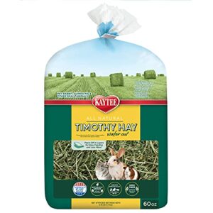 kaytee wafer cut all natural timothy hay for pet guinea pigs, rabbits & other small animals, 60 ounce