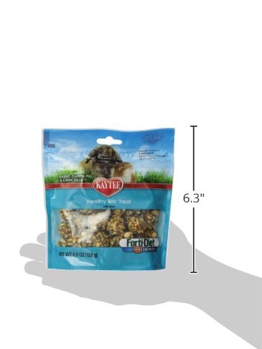 Kaytee Forti-Diet Pro Health Healthy Bits Rabbit, Guinea Pig and Chinchilla Treat, 9 Ounce