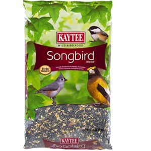 kaytee wild bird songbird blend food seed, 7 pound