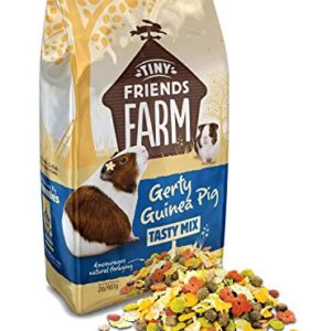 Supreme Tiny Friends Farm Gerty Guinea Pig Tasty Mix, Apple Strawberry, 2lbs