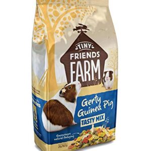 Supreme Tiny Friends Farm Gerty Guinea Pig Tasty Mix, Apple Strawberry, 2lbs