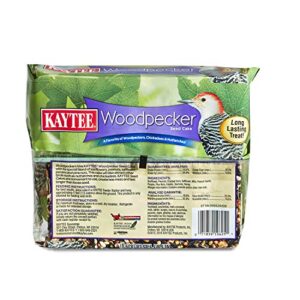 Kaytee Wild Bird Woodpecker Seed Cake Food, 1.85 Pounds