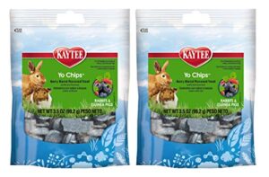 kaytee 2 pack of mixed berry flavor yo chips, 3.5 ounces each, for rabbits and guinea pigs