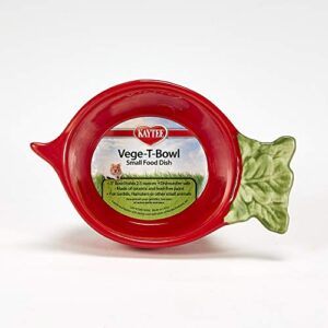 kaytee vege-t-bowl radish 3 inches