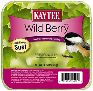 kaytee wild berry high energy bird suet, 11.75 oz