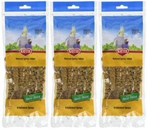 (3 pack) kaytee spray millet for birds, 6-count each