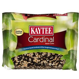 kaytee cardinal cake 1.85 lb