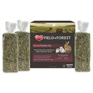 Field+Forest by Kaytee 1st Cut Timothy Hay 90 Ounces