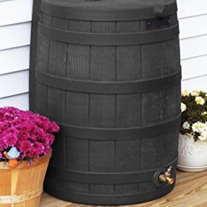 Good Ideas RW50-BLK Rain Wizard Rain Barrel 50-Gallon, Black