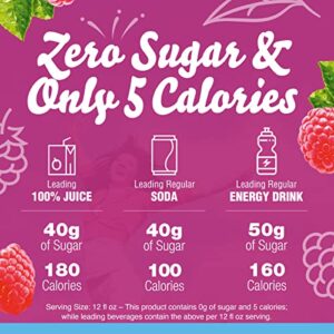 Crystal Light Sugar-Free Raspberry Iced Tea Naturally Flavored Powdered Drink Mix 72 Count Pitcher Packets