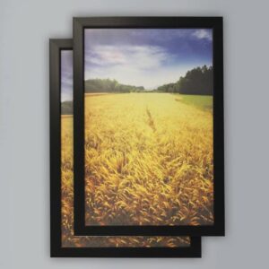 (Set of 2) Poster Frame Black - Room Essentials™, 12 x 18 Inch