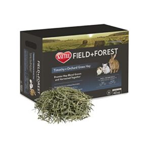 kaytee field+forest timothy+orchard grass hay 40 ounces