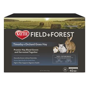 Kaytee Field+Forest Timothy+Orchard Grass Hay 40 Ounces