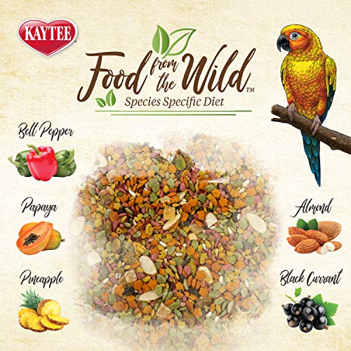 Kaytee Food from The Wild Natural Pet Conure Bird Food, 2.5 Pound