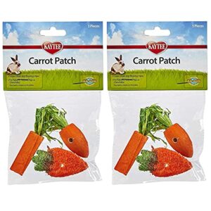 kaytee 3 count chew toy, carrot patch variety 2 pack