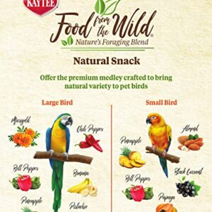 Kaytee Food From The Wild Natural Pet Bird Snack Food Treats For Conures, Pionus, Amazon Parrots, African Greys, Eclectus, Macaws, and Cockatoos, 3 oz.