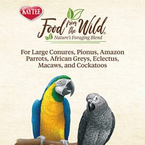 Kaytee Food From The Wild Natural Pet Bird Snack Food Treats For Conures, Pionus, Amazon Parrots, African Greys, Eclectus, Macaws, and Cockatoos, 3 oz.