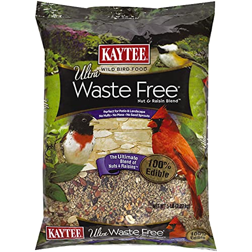 Kaytee Waste Free Nut and Raisin Blend, 5-Pound